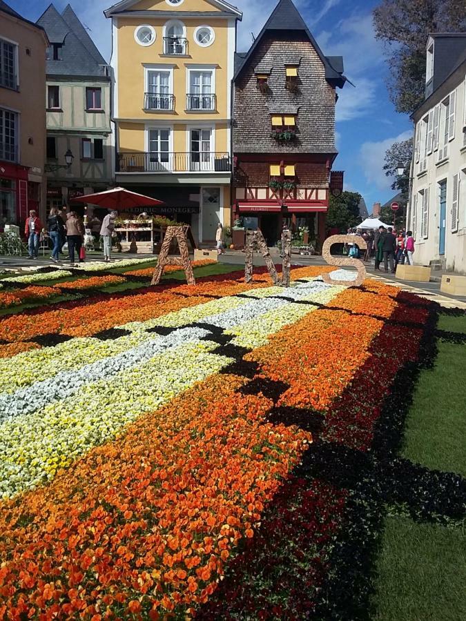 Logis Louisblanc, Muraille Romaine, Lit Queen-Size, Centre Ville Le Mans Exterior foto